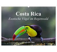 Costa Rica - Exotische Vögel im Regenwald (Wandkalender 2026 DIN A2 quer), CALVENDO Monatskalender: Impressionen aus der Vogelwelt in Costa Rica