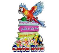 Costa Rica - Imán 3D de recuerdo de viaje para nevera