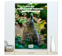 Costa Rica - Magische Tiere des Regenwaldes (hochwertiger Premium Wandkalender 2027 DIN A2 hoch), Kunstdruck in Hochglanz: Exotische Tierwelt der Tropen