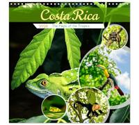 Costa Rica - The Magic of the Tropics (Wall Calendar 2026 12" x 24" / 30 x 60 cm (open)) CALVENDO 12 Month Wall Calendar