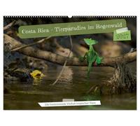 Costa Rica - Tierparadies im Regenwald (Wandkalender 2027 DIN A2 quer), CALVENDO Monatskalender: Exotische Tierwelt der Tropen