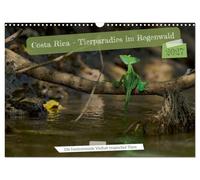 Costa Rica - Tierparadies im Regenwald (Wandkalender 2027 DIN A3 quer), CALVENDO Monatskalender: Exotische Tierwelt der Tropen