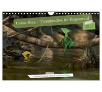 Costa Rica - Tierparadies im Regenwald (Wandkalender 2027 DIN A4 quer), CALVENDO Monatskalender: Exotische Tierwelt der Tropen