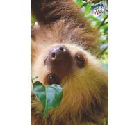 Costa Rica Travel Journal: Pura Vida Adventure Diary - Guided Prompts, Daily Logs, Packing Lists & Memories for Your Tropical Escape