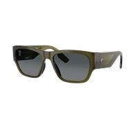 Costa Unisex Sunglass Suenos - Color del Marco: Alga translúcido, Color de la Lente: Gris degradado