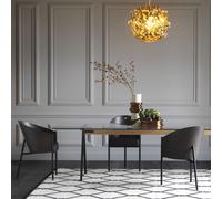 COSTES Philippe Starck 1985 Driade