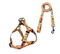 Cosyhome London Arnés con Correa para Perros Pequeños y Gatos,Transpirable Arnés Ajustable para Perros Cachorros con Patrones Estrella Coloridas(S, Stripe)