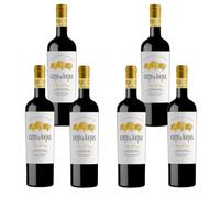 Coto de Hayas Viñas del Cierzo Reserva - 6 Botellas - Vino Tinto D.O. Campo de Borja - Garnacha, Syrah y Mazuelo - Crianza 12 Meses en Roble - 75cl - 14% Vol.