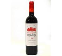 Coto Hayas Tempranillo Cabernet 2020
