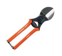 Coton et sécateur professionnel lisam 1/B/19 cm Double Lame Ciseaux