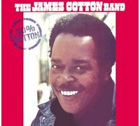 Cotton James Band - 100% Cotton