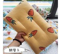 Cotton washable pillow for children kindergarten children cartoon cotton neck pillow student nap pillow-carrot_30*50