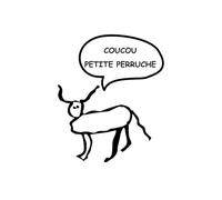 Coucou petite perruche: notebook