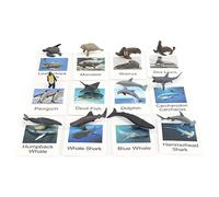 CoudarTitie Set de Minifiguras de Animales con Tarjetas Didácticas para Una Experiencia Educativa Y Divertida, animales salvajes
