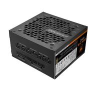 Cougar GEX X2 80 Plus Gold 850W ATX 3.0 PCIE 5.0 Modular Negro