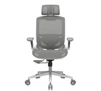 COUGAR Speeder - Silla ergonómica para gaming, malla de chenilla, reposacabezas ajustable, respaldo ajustable, soporte lumbar y reposapiés (solo para Speeder), color blanco