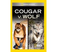 Cougar V. Wolf (DVD) (Importación USA)
