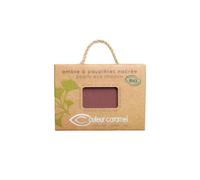 Couleur caramel maquillaje sombra de ojos 099 pepite cuivree 1un 21 g