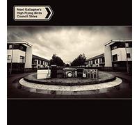 Council Skies – Vinilo – The Orchard