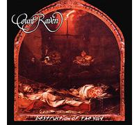 Count Raven - Destruction Of The Void [Vinilo]