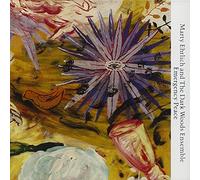 CounterCurrents Jazz Series - Ehrlich, Marty : Emergency Peace