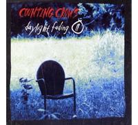 Counting Crows - Daylight Fading