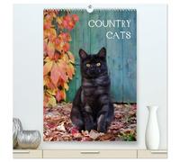 COUNTRY CATS (hochwertiger Premium Wandkalender 2026 DIN A2 hoch), Kunstdruck in Hochglanz: Bezaubernde Katzen fotografiert auf dem Land und in Bauerngärten.