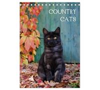COUNTRY CATS (Tischkalender 2026 DIN A5 hoch), CALVENDO Monatskalender: Bezaubernde Katzen fotografiert auf dem Land und in Bauerngärten.