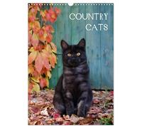 COUNTRY CATS (Wandkalender 2026 DIN A3 hoch), CALVENDO Monatskalender: Bezaubernde Katzen fotografiert auf dem Land und in Bauerngärten.