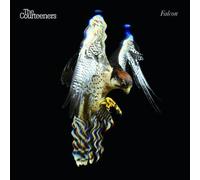 Courteeners, the - Falcon