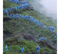 Courtney Barnet End of the Day (Music from the Film An (Vinyl) (Importación USA)