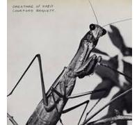 Courtney Barnett - Creature Of Habit - SHM