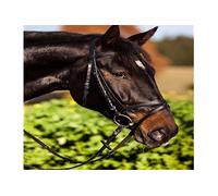 Kerbl Covalliero Brida estándar Cuero para Pura Sangre, marrón