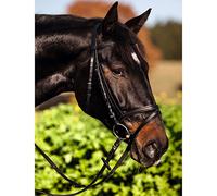 Kerbl Covalliero Brida estándar Cuero para Sangre templada, Negro