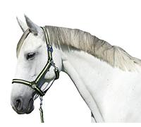 Covalliero Hippo Kerbl - Antracita/limón Cabeza Cuello, tamaño 1