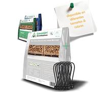 CoverUp! Lona Impermeable Exterior 2 x 3 m Incl. 10 tensores de Lona - Lona de protección con Ojales Resistente al Agua y al Desgaste 200 g/m2 - Blanco