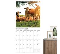 Cow Calendar 2025, Fun Wall Calendar, Monthly Planner Calendar, Thick Paper Calendar, 12-Month Cow Calendar, January to December Calendar, 29.39x29.31x1.9cm/11.57x11.54x0.75 for Daily Life Organizing