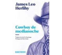Cowboy De Medianoche (ebook)