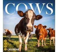 Cows 2027 Calendar - Fluffy Highland Cows and Majestic Farm Life: A Year of Cute Cattle and Country Charm - 2027 Edition