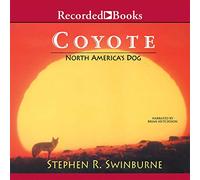 Coyote: perro de América del Norte