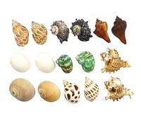 COYOUCO Conchas de Cangrejo ermitaño Suministros de Cangrejo ermitaño pequeño a Mediano Cangrejo ermitaño Concha de reemplazo Concha Natural DIY Fish Tank Decoración del Acuario,C
