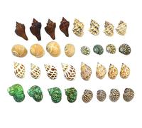COYOUCO Conchas de Cangrejo ermitaño Suministros de Cangrejo ermitaño pequeño a Mediano Cangrejo ermitaño Concha de reemplazo Concha Natural DIY Fish Tank Decoración del Acuario,B