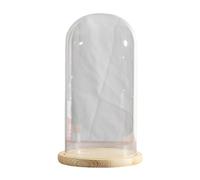 COYOUCO Pantalla de cúpula de Campana de Vidrio con Base de Madera Maciza para exhibir Plantas, Adornos, Figuras, diámetro 15 cm de altura30/35 cm,Dia15*H35cm