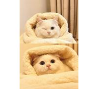 Cozy Fluff Cat Journal: Lined Notebook for Cute Daily Musings