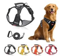 Cozy Harness, Escape-Proof Dog Harness, No Pull Reflective Adjustable Dog Vest for Small Medium Large Pets - Quick Release Buckle, Metal D-Rings, Lasting Comfort (Black,S)
