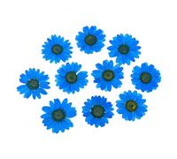 Cozylkx 10 Unids/Bolsa De Flores Secas Naturales, Flores De Margarita Secas Prensadas DIY para Rellenos De Moldes De Resina, Arte De Uñas, Fabricación De Velas, Decoraciones Florales