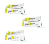 cp-pharma - Pasta Urocid | 3 unidades | 3 x 100 g | Diät-Ergänzungsfuttermittel für Hunde und Katzen | Bei Blasenbeschwerden | Mit Methionin & Cranberry