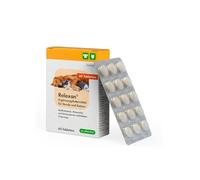 cp-pharma Relaxan | 60 Pastillas | Complemento alimenticio para Perros y Gatos con multivitaminas, minerales y aminoácidos de Origen Natural | para la relajación