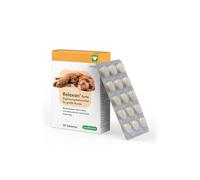 cp-pharma Relaxan Forte | 30 Pastillas | Complemento alimenticio para Perros Grandes | Multivitaminas, minerales y aminoácidos de Origen Natural | para reacciones de estrés