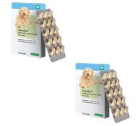 cp pharma VivoSyn | Paquete doble | 2 x 30 cápsulas | Complemento alimenticio dietético para perros | simbiótico